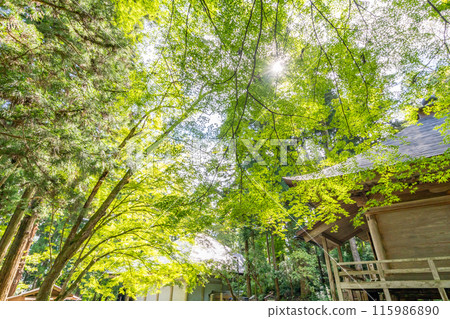 中尊寺經藏 可見平安時代的彩色圖案 中尊寺經藏 可見平安時代的彩色圖案 115986890