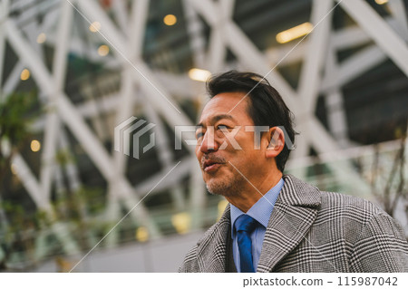 business man, gents, male 115987042