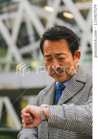 business man, gents, male 115987074