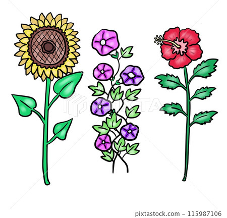 夏季花卉插畫 夏季花卉插畫 115987106