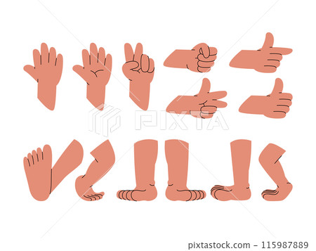 set various foot and hand palm thumb forefinger gesture pointing or peace expression set various foot and hand palm thumb forefinger gesture pointing or peace expression 115987889