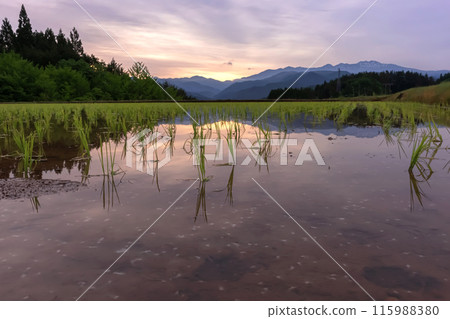 240523 Ueno-daira z060 115988380