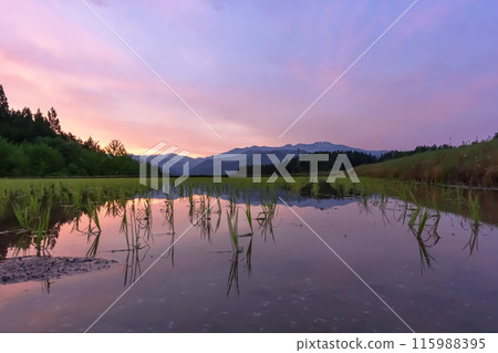 240523Uenodairaz017 115988395