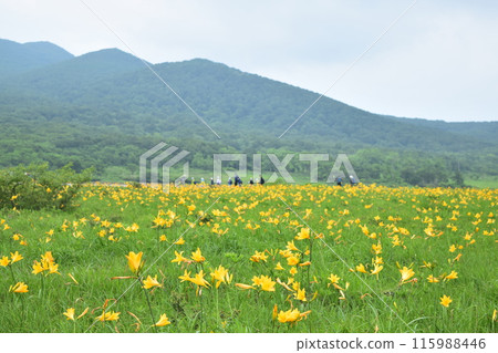 Nikko Kishge of the Oununuma Nikko Kishge of the Oununuma 115988446