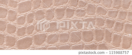 Texture velvet beige background from soft upholstery textile material, macro. Abstract velour brown fabric 115988757