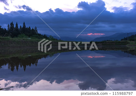 240526 Uenoharaz009 115988797