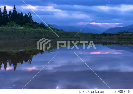 240526 Uenoharaz001 240526 Uenoharaz001 115988806