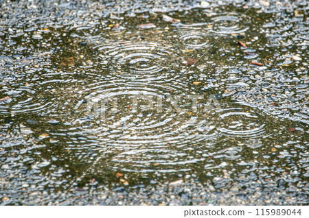 Ripples in a puddle Ripples in a puddle 115989044