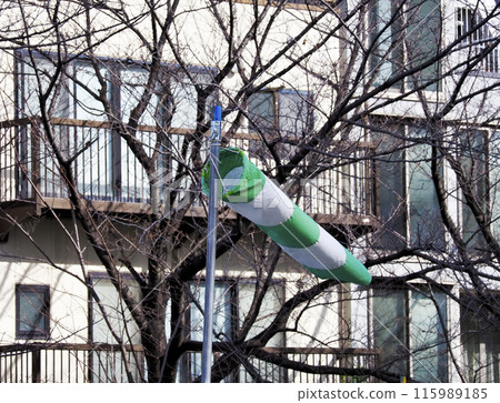 Windsock 115989185