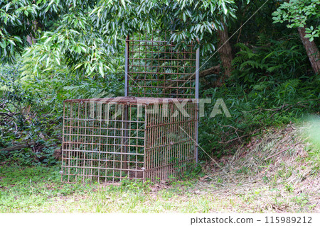 Wild boar countermeasures: box trap 115989212