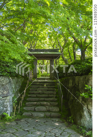 [Vertical photo] Karamon Gate of the MOA Museum of Art 115989350