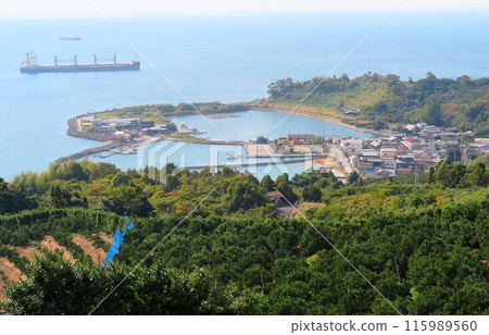 Gogoshima Island in Matsuyama City, Ehime Prefecture: Mitarai Port seen from a hilltop 115989560
