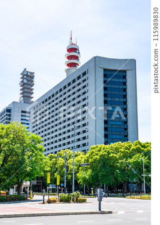 [東京]初夏綠意盎然的警視廳 115989830