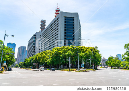 [東京]初夏綠意盎然的警視廳 115989836
