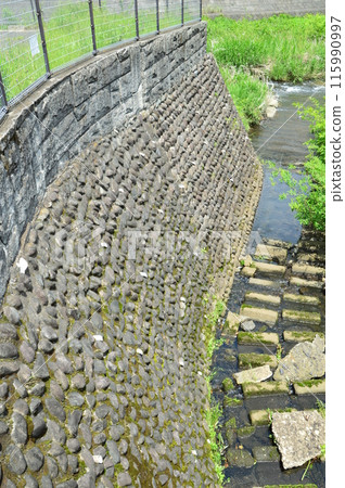 Yuto River Hachioji City Yuto River Hachioji City 115990997
