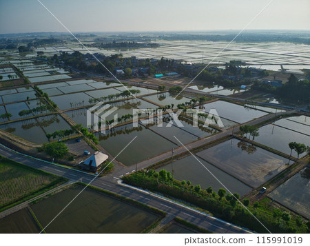 Rural landscape Rural landscape 115991019