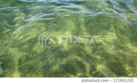 Beautiful wavy surface of clean and transparent turquoise sea water Beautiful wavy surface of clean and transparent turquoise sea water 115991282