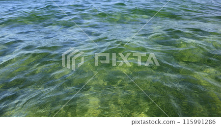 Beautiful wavy surface of clean and transparent turquoise sea water Beautiful wavy surface of clean and transparent turquoise sea water 115991286