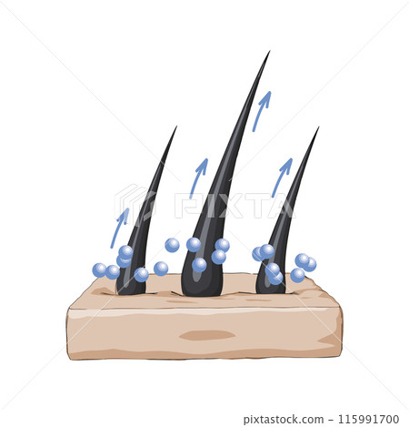 Minerals for healthy hair growth, vector illustration 115991700