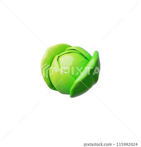 Fresh white cabbage in 3D vector icon. Isolated... - Stock Illustration ...