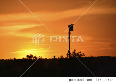A beautiful sunset and a birdhouse on the horizon background. Rural landscape. 115992348