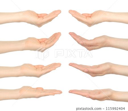 Set of Woman Hands with different gestures, isolated on transparent background 115992404