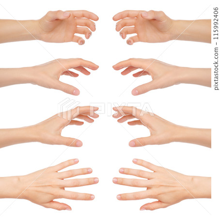 Set of Woman Hands with different gestures, isolated on transparent background 115992406