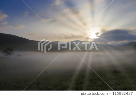 Dawn of the marsh　 115992437