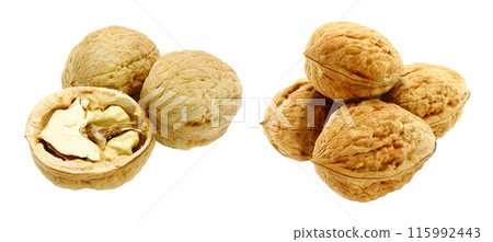 Set of Walnuts, isolated on transparent background Set of Walnuts, isolated on transparent background 115992443