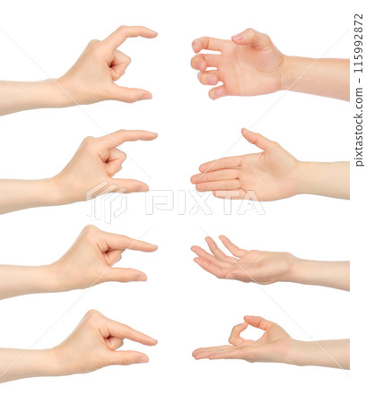 Set of Woman hands with stages of holding gestures, isolated on white background 115992872