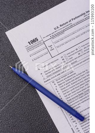 IRS Form 1065 US Return of Partnership Income blank IRS Form 1065 US Return of Partnership Income blank 115993100
