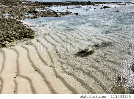 淺沙波紋和岩石創造的美麗海岸風光 淺沙波紋和岩石創造的美麗海岸風光 115993136