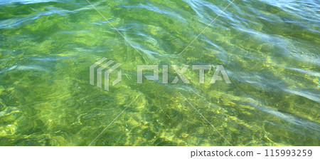 Beautiful wavy surface of clean and transparent turquoise sea water, natural background Beautiful wavy surface of clean and transparent turquoise sea water, natural background 115993259