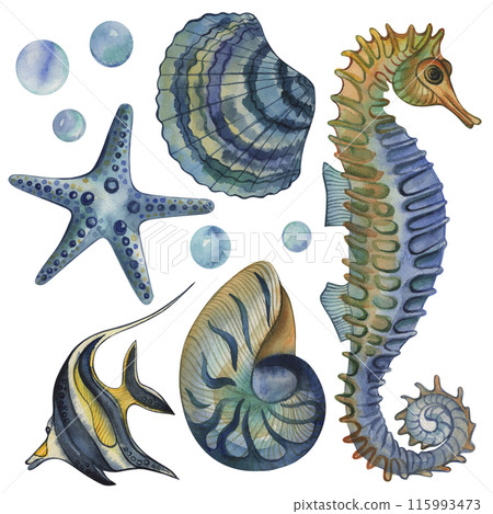 Seahorse, fish, shells, starfish, bubbles, blue, green, yellow. The illustration is hand-drawn in watercolor on a white background. For the design of posters, children's books, rooms, card, packaging. Seahorse, fish, shells, starfish, bubbles, blue, green, yellow. The illustration is hand-drawn in watercolor on a white background. For the design of posters, children's books, rooms, card, packaging. 115993473