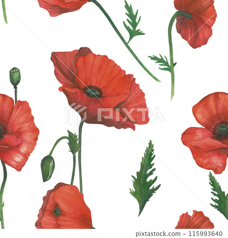 Watercolor pattern of red poppies. Hand drawn, isolated on white background. For invitations, textiles and decoration 115993640