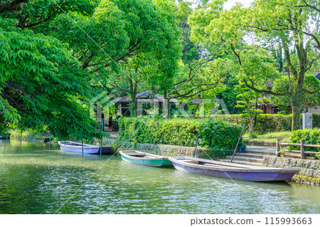 初夏的柳川風景 福岡縣柳川市 初夏的柳川風景 福岡縣柳川市 115993663