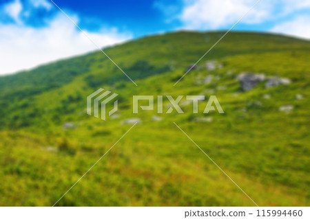 mountainous landscape with stones and boulders on the grassy hillside. alpine scenery of ukrainian carpathians in summer. mnt. runa also called smooth mountain 115994460