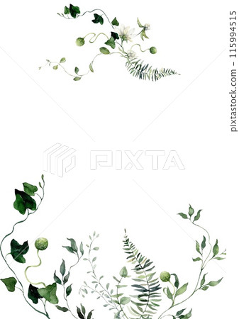 Watercolor floral vertical border featuring bedstraw, grass and herbs. Hand-drawn frame of a plant bouquet on a white background. An outdoor illustration for design, printing or fabric background. Watercolor floral vertical border featuring bedstraw, grass and herbs. Hand-drawn frame of a plant bouquet on a white background. An outdoor illustration for design, printing or fabric background. 115994515