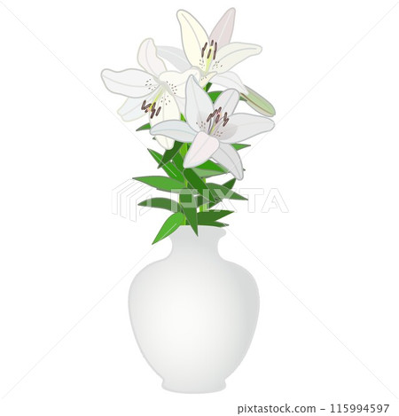Illustration of lilies in a vase - Stock Illustration [115994597