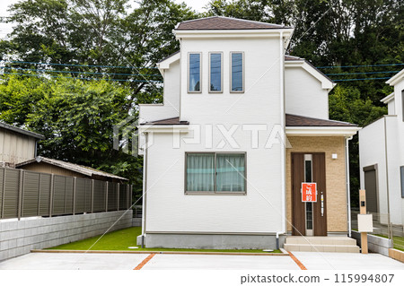 Newly built detached house contract 115994807