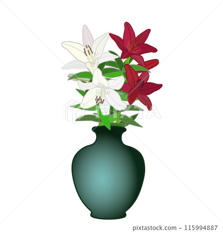Illustration of a lily in a vase Illustration of a lily in a vase 115994887