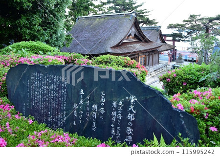 Takashima City, Shiga Prefecture: Murasaki Shikibu's poem monument and azalea in full bloom in the grounds of Shirahige Shrine 115995242