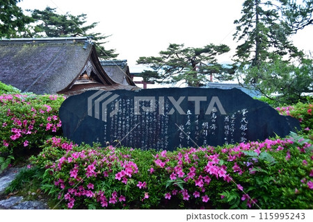 滋賀縣高島市白須神社境內的紫式部詩碑和小月盛開 滋賀縣高島市白須神社境內的紫式部詩碑和小月盛開 115995243