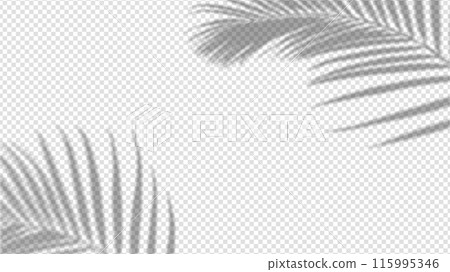 Shadow overlay from a palm tree branch isolated on a transparent background. 115995346