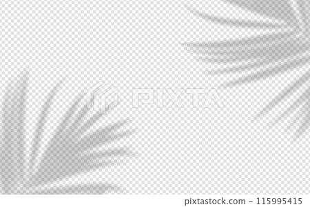 Shadow overlay from a palm tree branch isolated on a transparent background. Shadow overlay from a palm tree branch isolated on a transparent background. 115995415