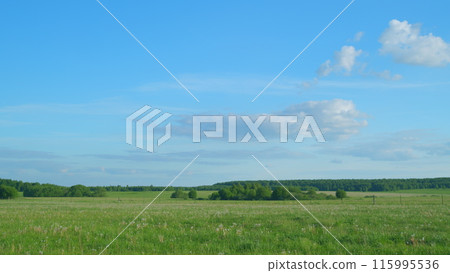Green farm field at the dramatic sunset. Rural summer landscape in the evening on sunset. Time lapse. 115995536