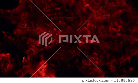 Glowing coal and fire sparks. Hot grill concept. Warm cozy burning fire. Slow motion. 115995656