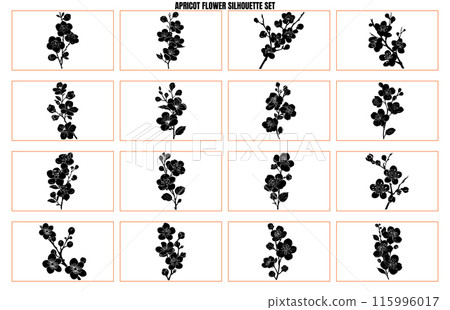 Flowering branch of an apricot tree set. illustration of four different isolated elements for design. Hand drawn floral elements on white background Flowering branch of an apricot tree set. illustration of four different isolated elements for design. Hand drawn floral elements on white background 115996017