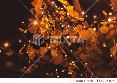 Light garland on tree branches Light garland on tree branches 115996307