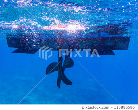 小笠原群島/父島海底風光 小笠原群島/父島海底風光 115996596